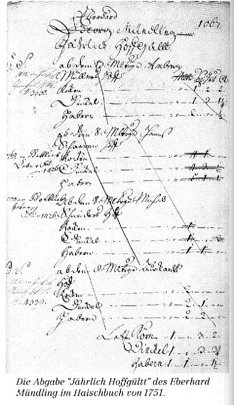 Tax Record (Click on Thumbnail)